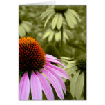 Vintage Floral Blank Card