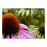Vintage Floral Card