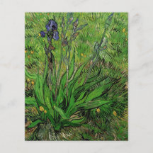 Vintage floral garden flower Iris by Van Gogh. Flyer