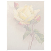 Vintage Floral Letterhead Stationery