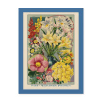 Vintage Flower Seed Catalogue
