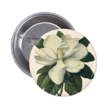 Vintage Flowers, Blooming White Magnolia Blossom Pinback Buttons