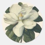 Vintage Flowers, Blooming White Magnolia Blossom Round Stickers