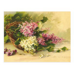 Vintage Flowers Postcard
