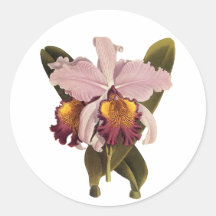 Vintage Flowers, Tropical Purple Cattleya Orchid Round Stickers