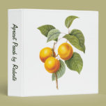 Vintage Food Fruit, Apricot Peach by Redoute binders