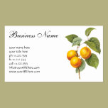 Vintage Food Fruit, Apricot Peach by Redoute business cards