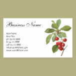 Vintage Food Fruit, Cherry Cherries by Redoute business cards