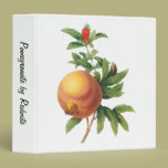 Vintage Food Fruit, Pomegranate by Redoute binders