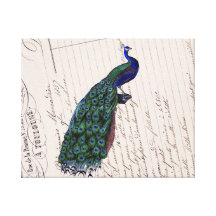 Vintage French Chic Blue Peacock Canvas Wall Art Canvas Prints