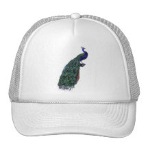 Vintage French Chic Blue Peacock Hat