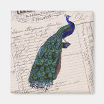 Vintage French Chic Blue Peacock Magnets