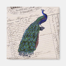 Vintage French Chic Blue Peacock Magnets