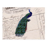 Vintage French Chic Blue Peacock Postcards