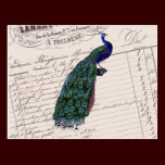 Vintage French Chic Blue Peacock postcards