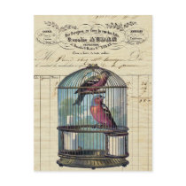 Vintage French Chic Victorian Birdcage Love Birds Postcards