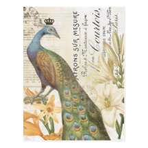 Vintage French peacock floral postcard