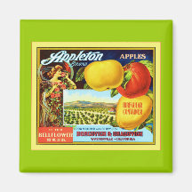 Vintage Fruit Crate Label Magnets