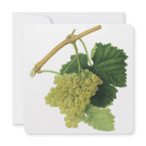 Vintage Fruit; Green White Wine Grapes Custom Invite