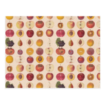 Vintage Fruit Pattern Post Cards