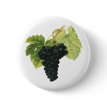 Vintage Fruit; Red Wine Grapes Pin