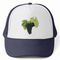 Vintage Fruit; Red Wine Grapes Mesh Hats