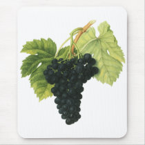 Vintage Fruit; Red Wine Grapes Mouse Pad