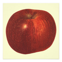 Vintage Fruit; Ripe Red Delicious Apple Personalized Announcements