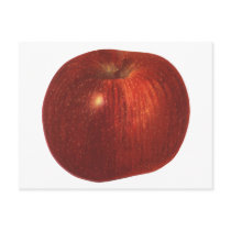 Vintage Fruit; Ripe Red Delicious Apple Post Card