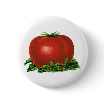 Vintage Fruits and Vegetables; Red Ripe Tomato Pins