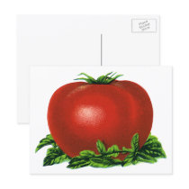 Vintage Fruits and Vegetables; Red Ripe Tomato Postcards