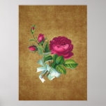 Vintage Fuchsia Rose Print