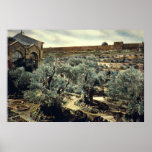 Vintage Garden of Gethsemane Jerusalem Israel Posters
