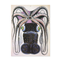 Vintage Giant  Octopus Post Cards