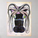 Vintage Giant  Octopus posters