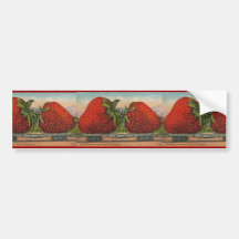 Vintage Giant Strawberries Bumper Stickers