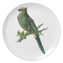 Vintage Green Parrot Plates
