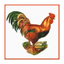 Vintage Green Tail Feathers Rooster Cockerel
