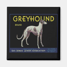 Vintage Greyhound Lemon Label Circa 1920 Fridge Magnets