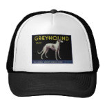 Vintage Greyhound Lemon Label Circa 1920 Mesh Hat