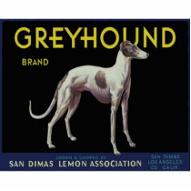 Vintage Greyhound Lemon Label Circa 1920 Photo Cut Out