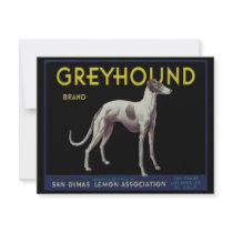 Vintage Greyhound Len Label Circa 1920 Announcement
