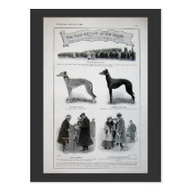 Vintage Greyhound News Clipping Postcards