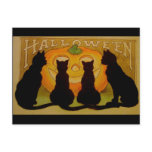 Vintage Halloween Black Cats and Jack O'Lantern Post Cards