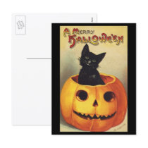 Vintage Halloween Smiling Black Cat in Pumpkin Postcard