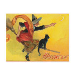 Vintage Halloween Witch Postcard
