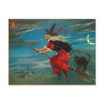 Vintage Halloween Witch Postcard