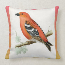 Vintage Hand Sketched Tropical Bird American MoJo Pillows