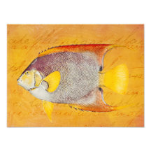 Vintage Hawaiian Angel Fish - Antique Hawaii Art Photo