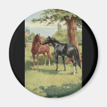 Vintage Horse Mare Stallion Equestrian Fridge Magnets